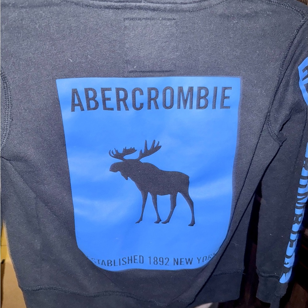 Abercrombie Kids Gray Sweatshirt with Blue Moose